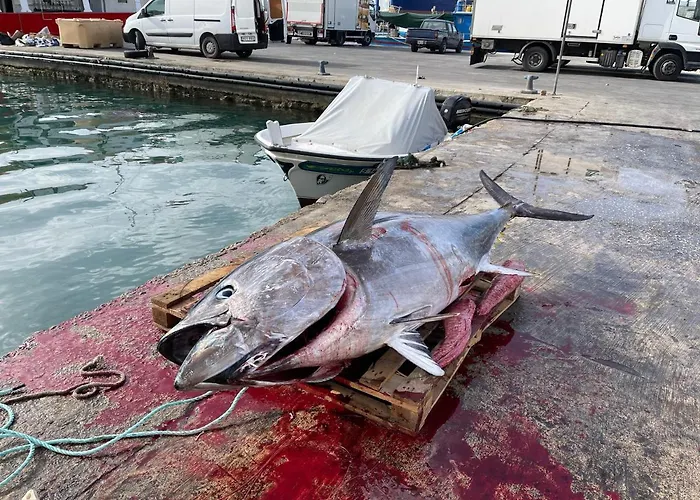 Sunrise - Modern Near The Διαμέρισμα Birżebbuġa